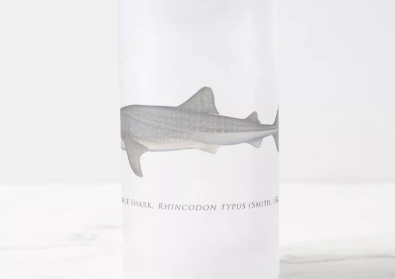 Whale Shark - Frosted Glass Stein-Stick Figure Fish Illustration