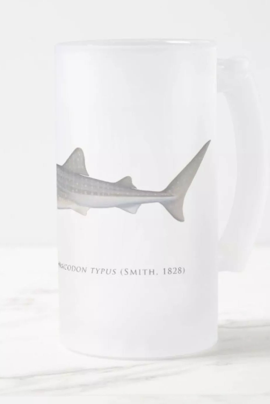 Whale Shark - Frosted Glass Stein-Stick Figure Fish Illustration