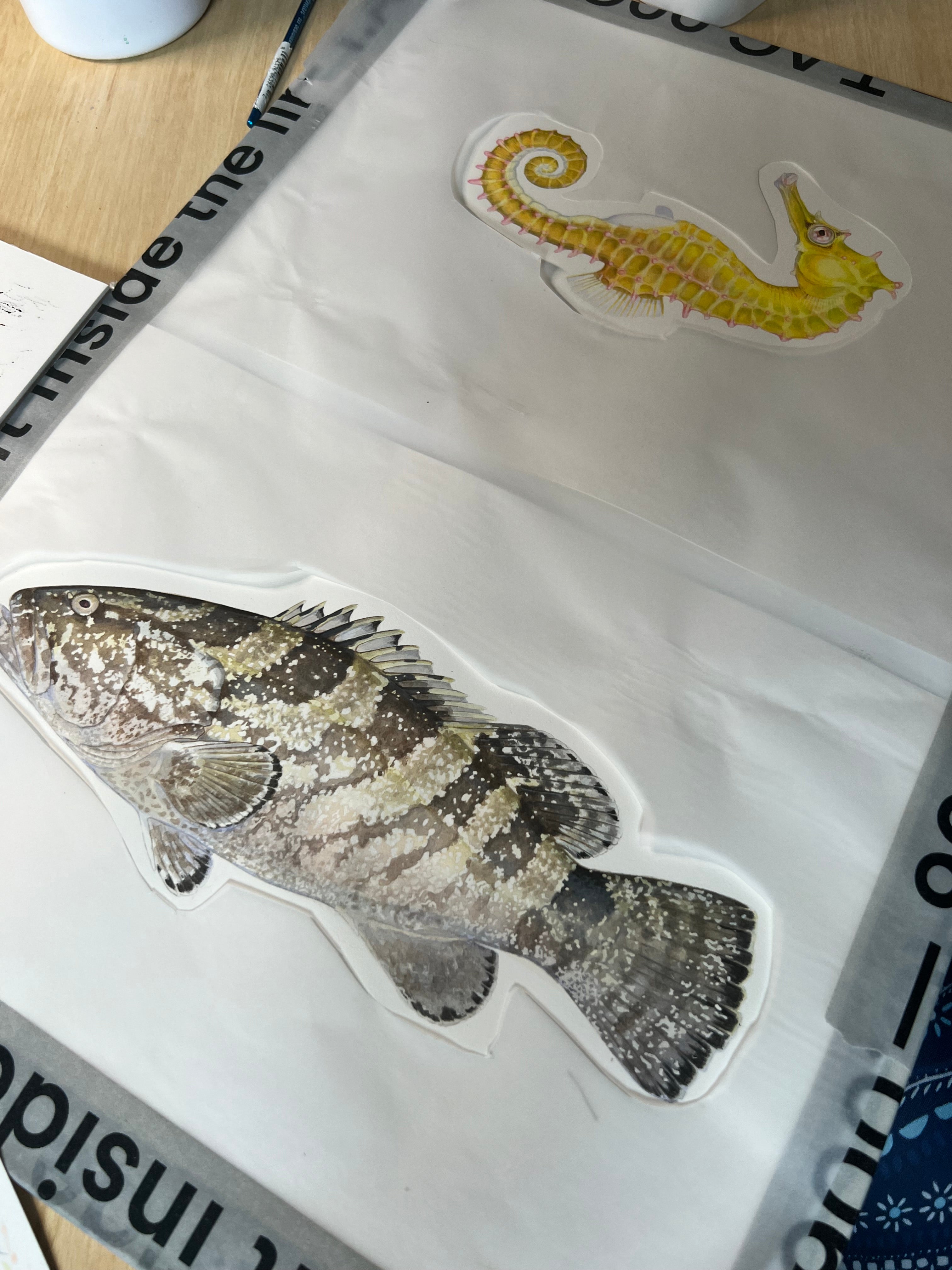 Commissioning Scientific Illustrations: Uniting Art and Science for Marine Species Identification