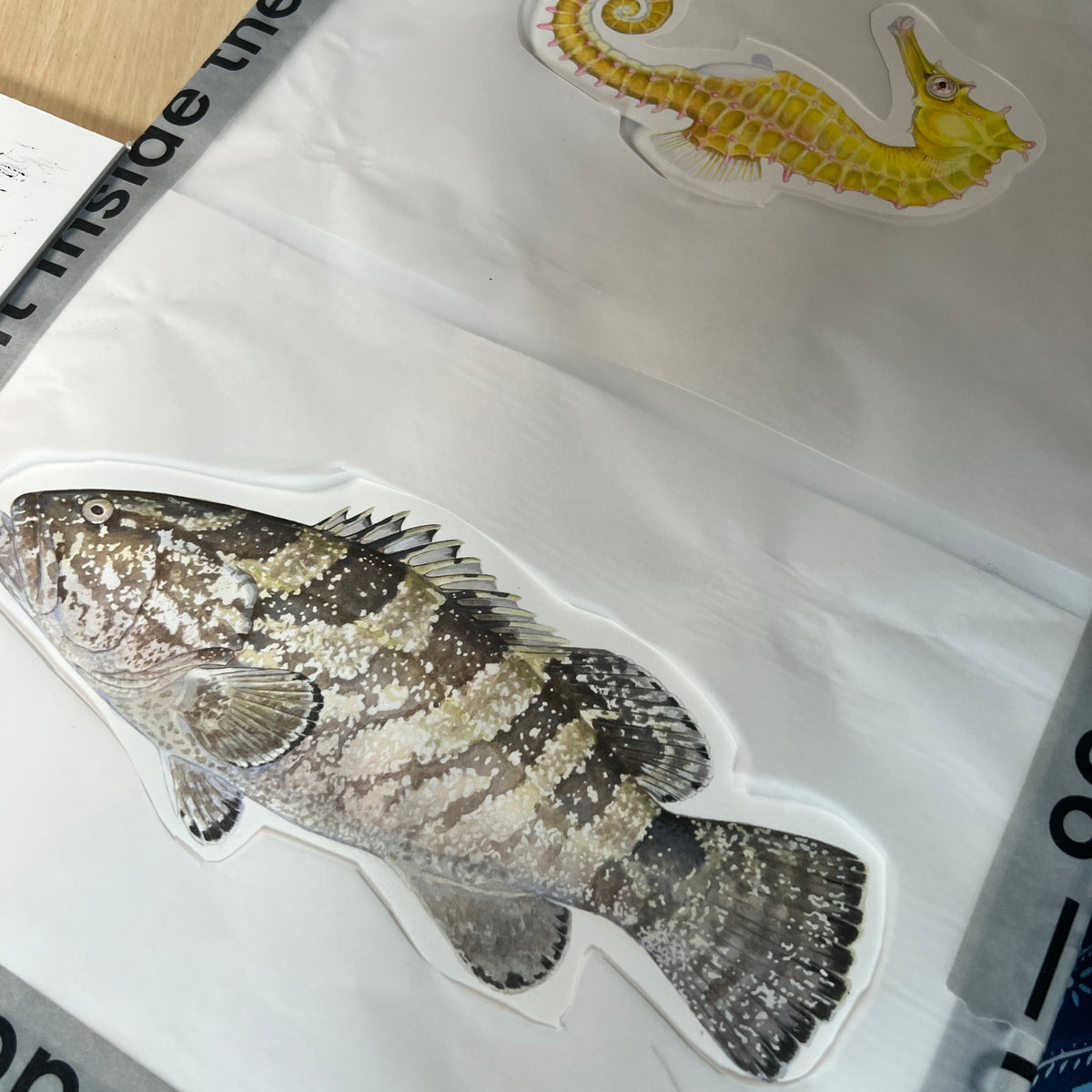 Commissioning Scientific Illustrations: Uniting Art and Science for Ma ...