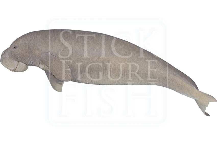 Dugong-Stick Figure Fish Illustration