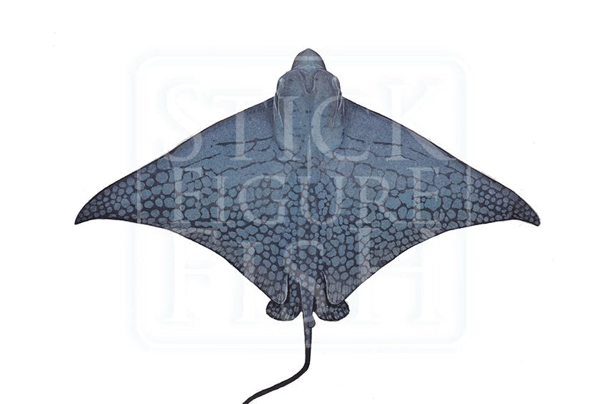Ornate Eagle Ray-Stick Figure Fish Illustration