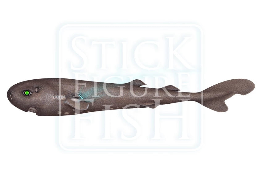 Pocket Shark-Stick Figure Fish Illustration