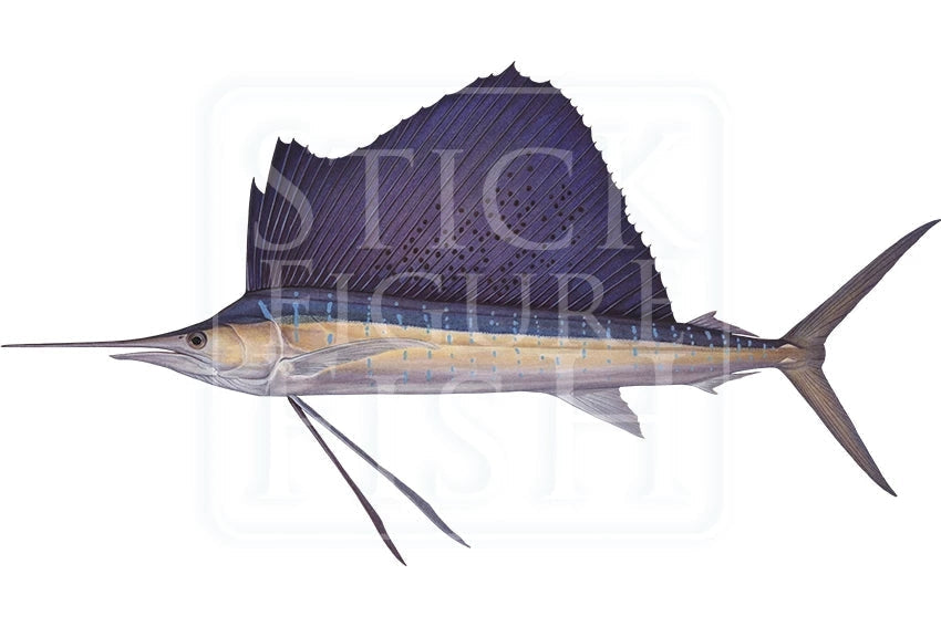 Sailfish-Stick Figure Fish Illustration