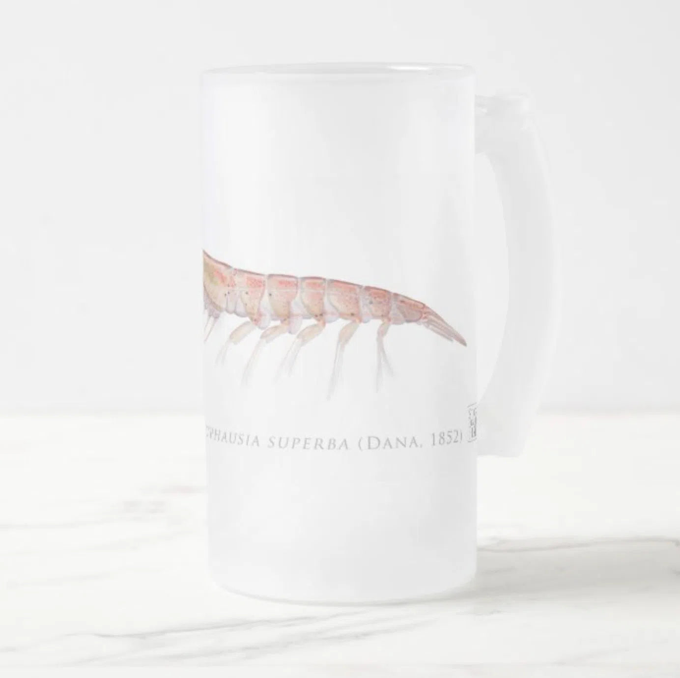 Antarctic Krill Stein featuring a detailed illustration by Dr. Lindsay Marshall