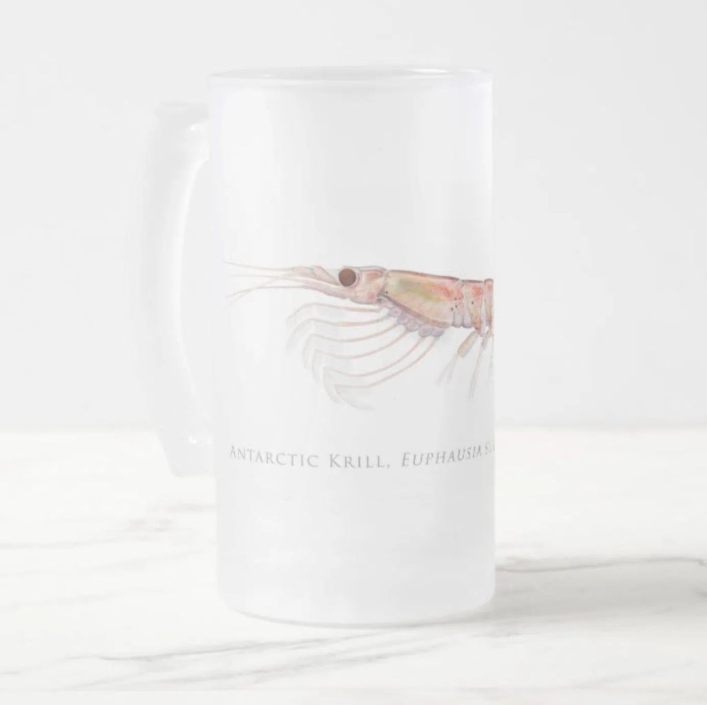 Antarctic Krill - Glass Stein-Stick Figure Fish Illustration