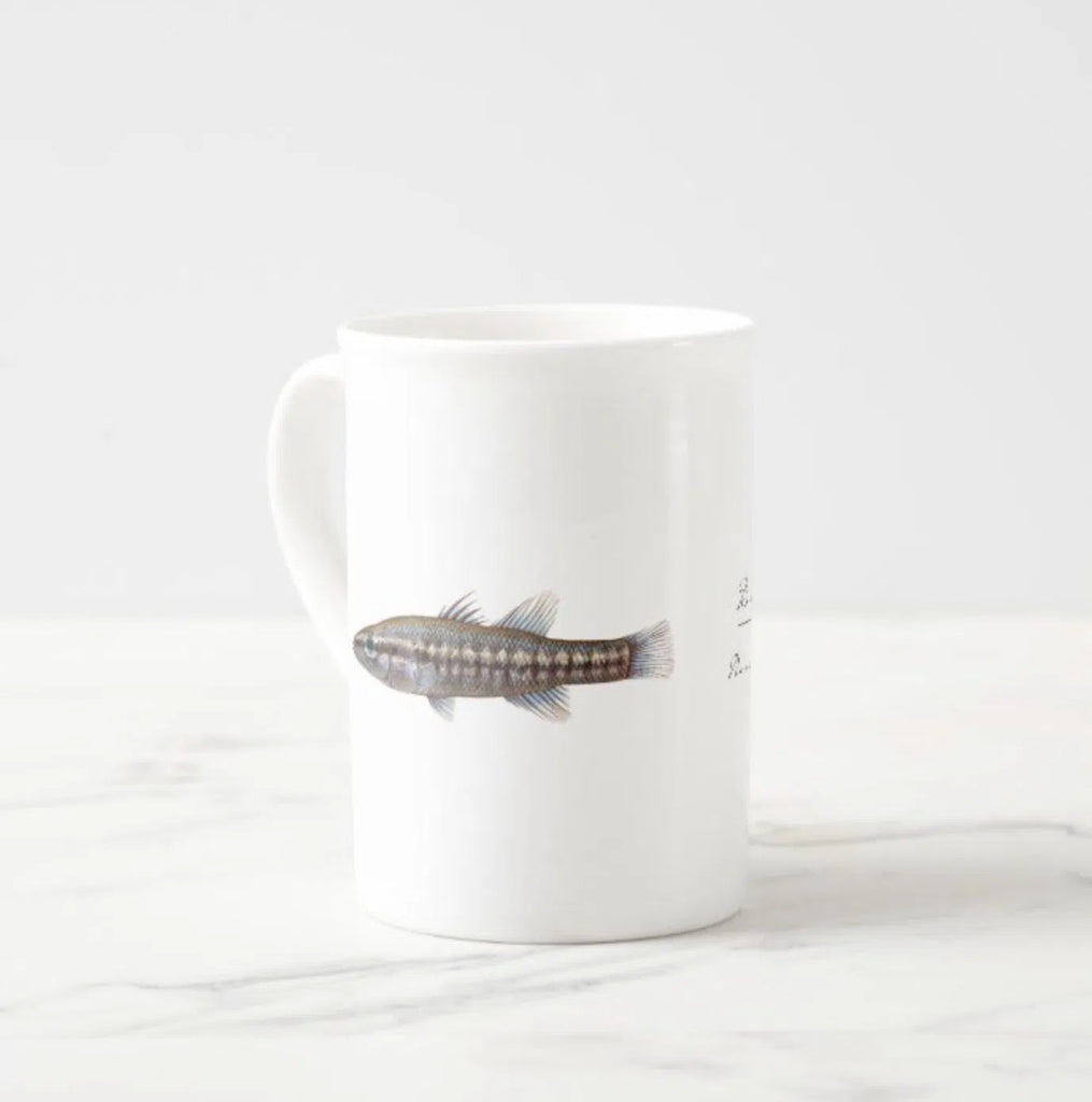 Balston's Pygmy Perch - Fine Bone China Mug-Stick Figure Fish Illustration