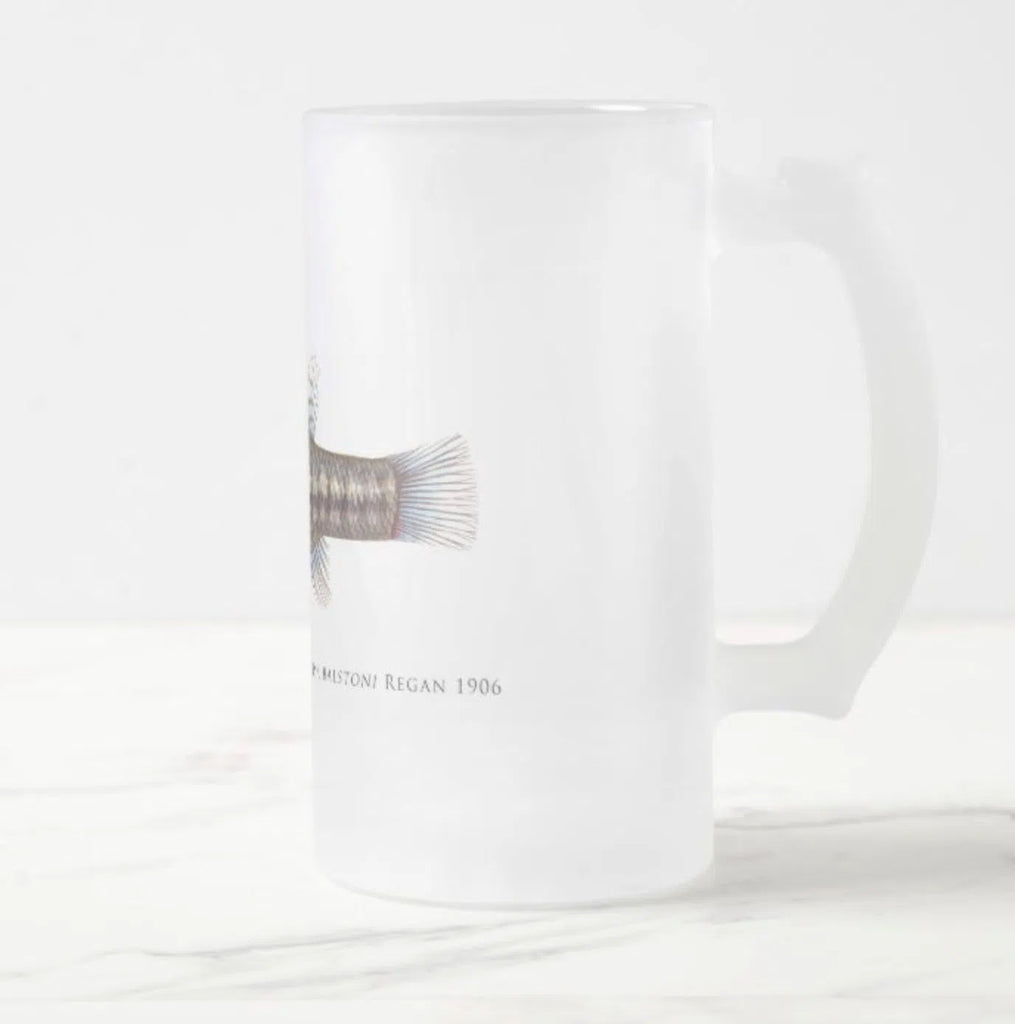 Balston's Pygmy Perch - Frosted Glass Stein-Stick Figure Fish Illustration