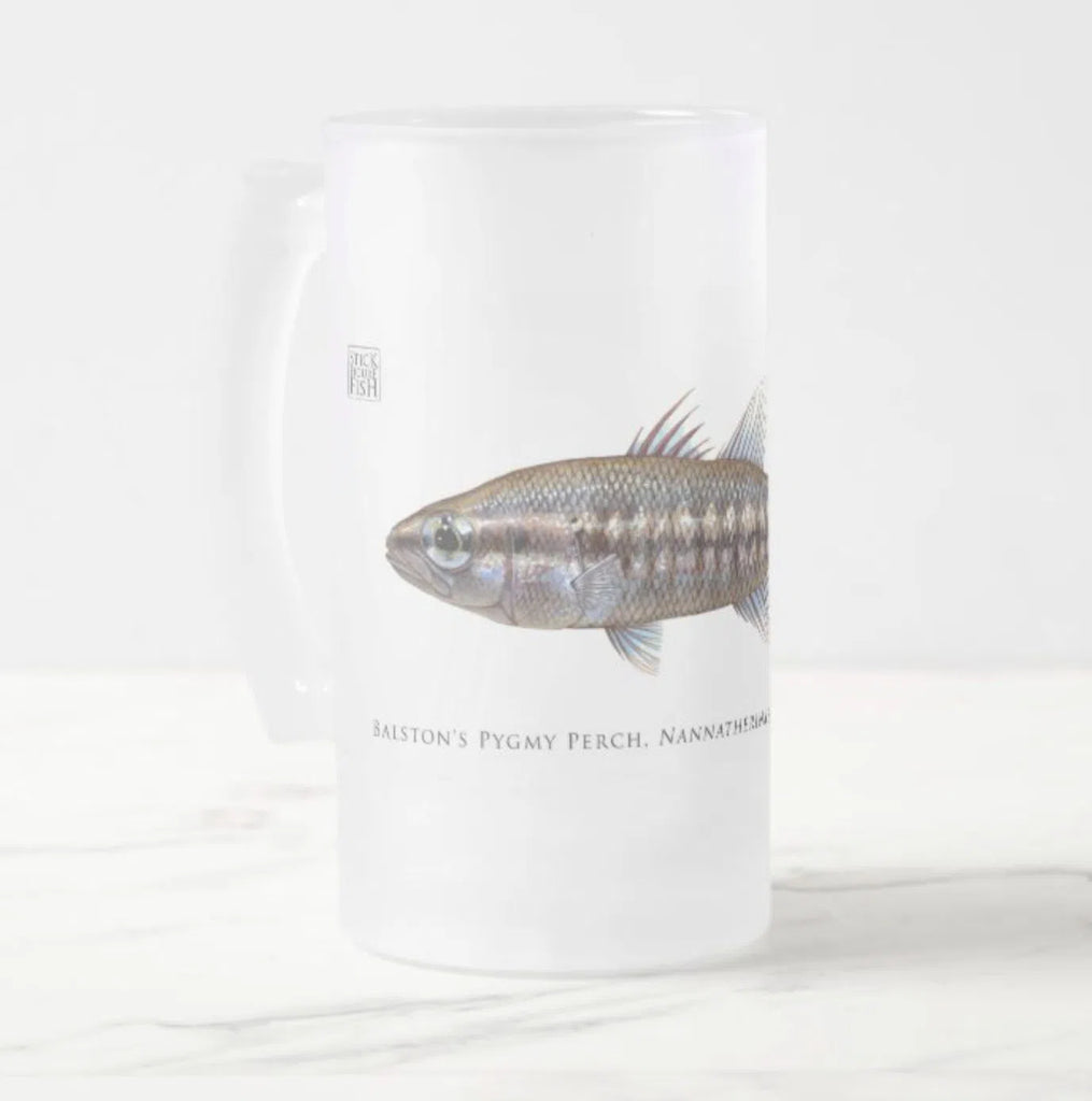 Balston's Pygmy Perch - Frosted Glass Stein-Stick Figure Fish Illustration