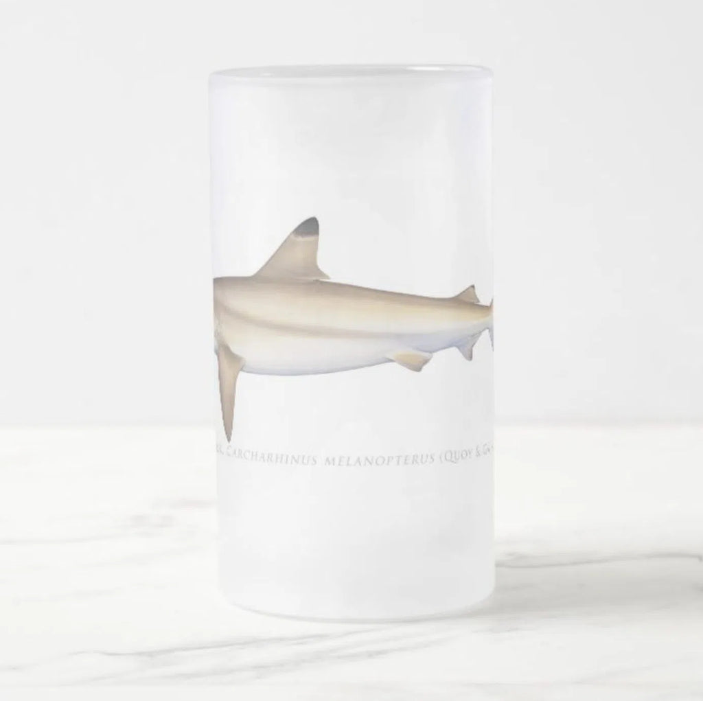 Blacktip Reef Shark - Frosted Glass Stein-Stick Figure Fish Illustration