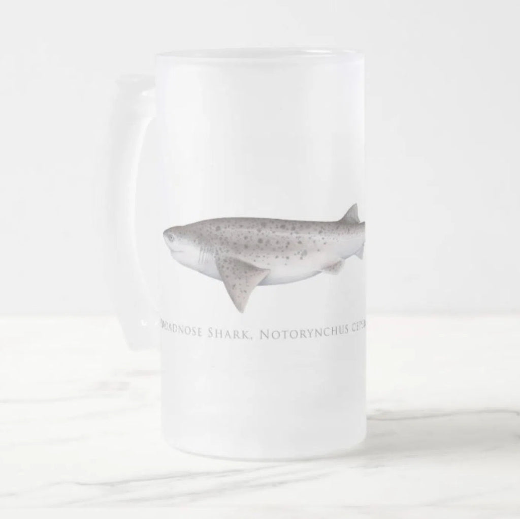 Broadnose Sevengill Shark - Frosted Glass Stein-Stick Figure Fish Illustration