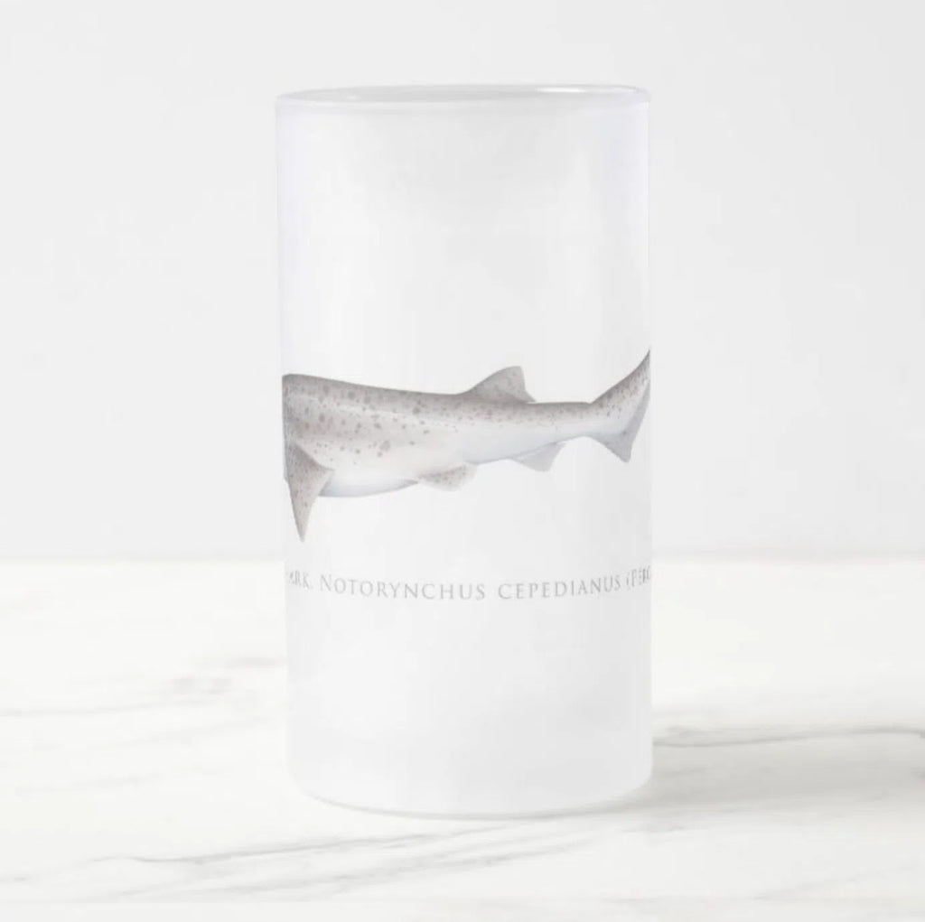 Broadnose Sevengill Shark - Frosted Glass Stein-Stick Figure Fish Illustration