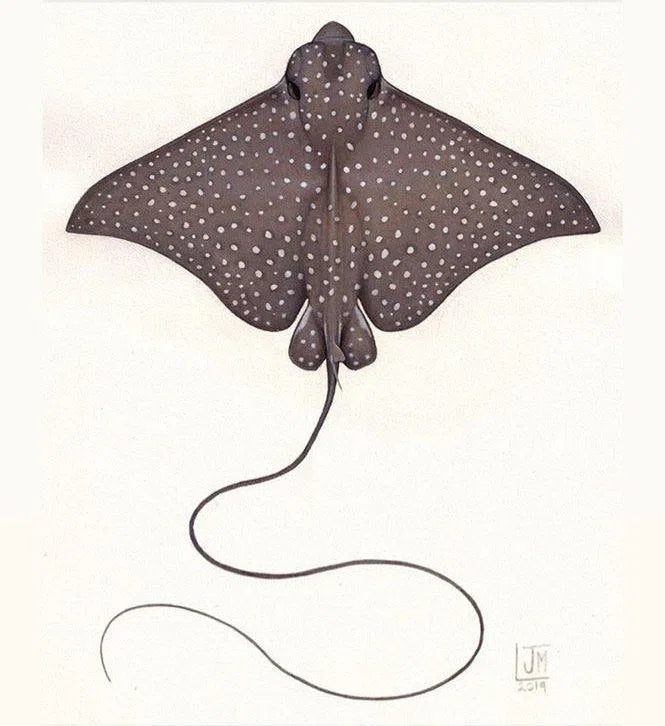 Choose Your Shark Species - Original Painting-Stick Figure Fish Illustration