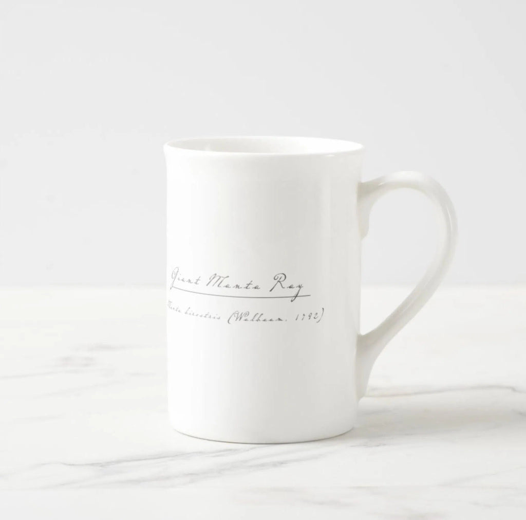 Choose Your Species - Shark or Ray - Fine Bone China Mug-Stick Figure Fish Illustration