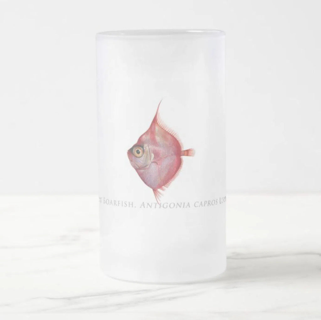 Deepbody Boarfish - Frosted Glass Stein-Stick Figure Fish Illustration
