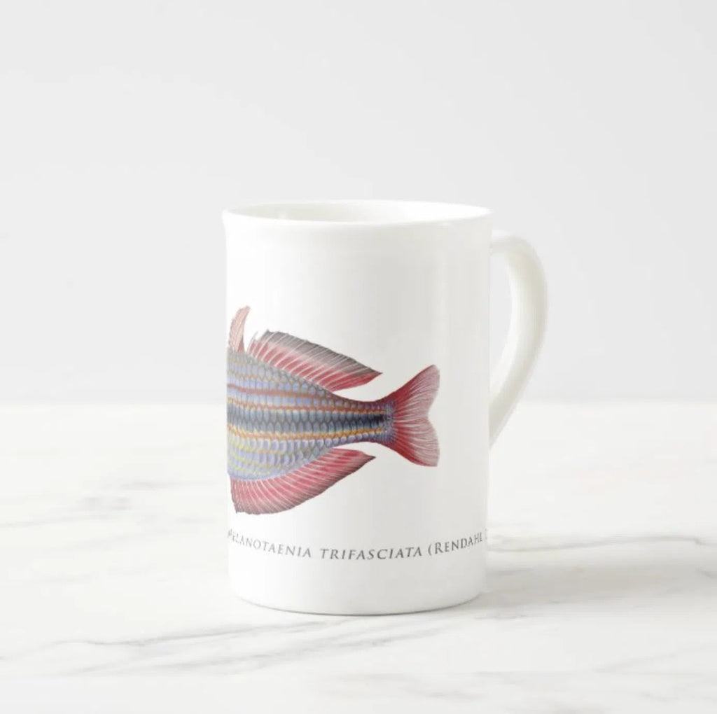 Goyder River Rainbowfish - Fine Bone China Mug-Stick Figure Fish Illustration