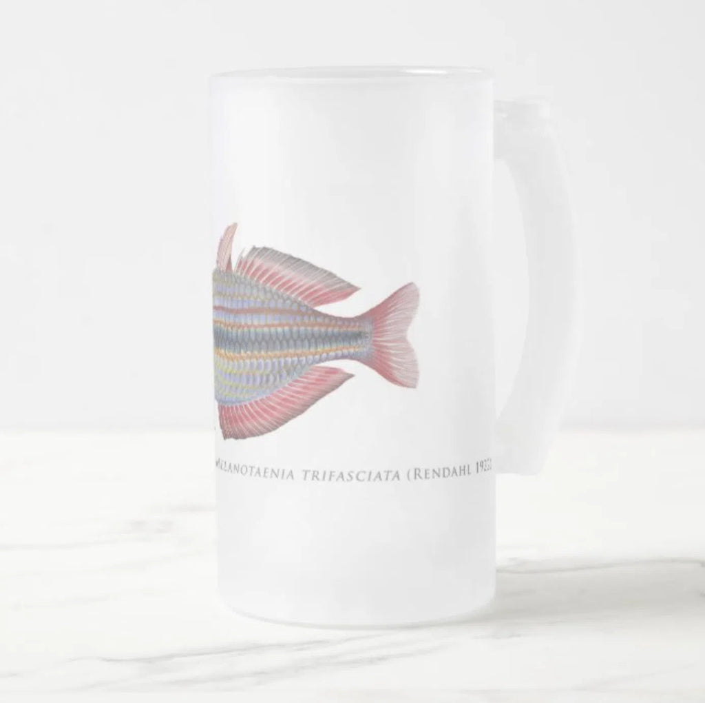 Goyder River Rainbowfish - Glass Stein-Stick Figure Fish Illustration