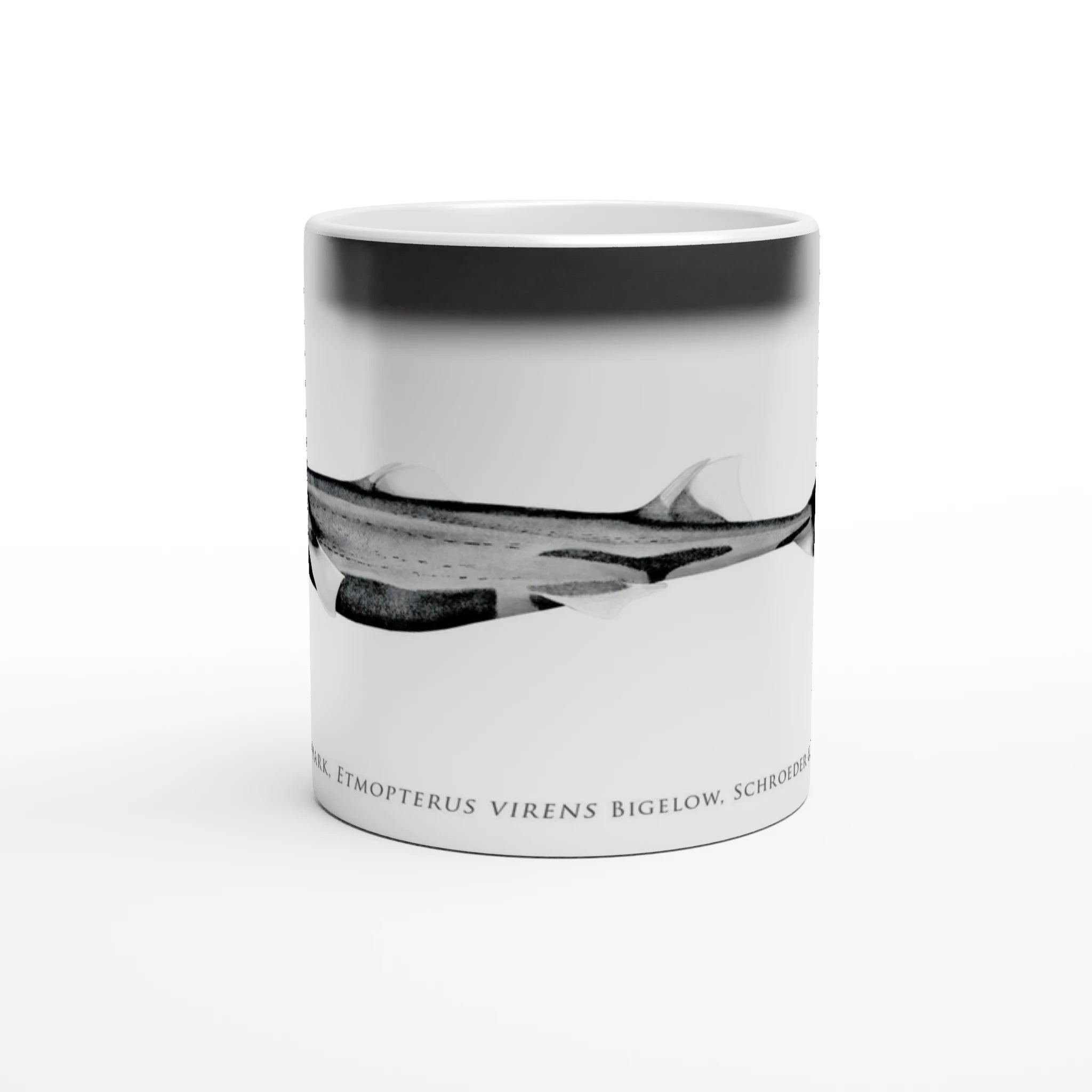 b9e2531b-e1b5-41b7-adb2-398165113454