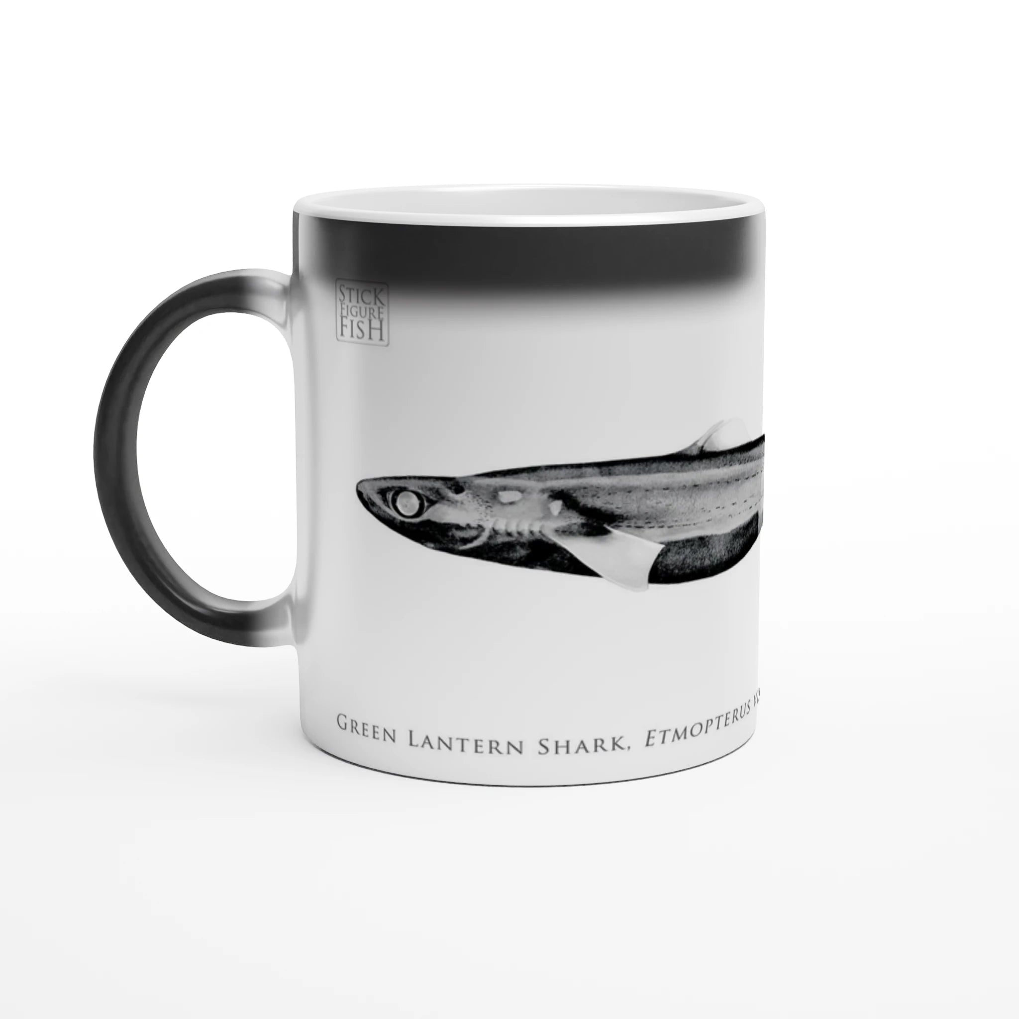 24f174fc-0c41-41cc-aea6-dda5b872442d