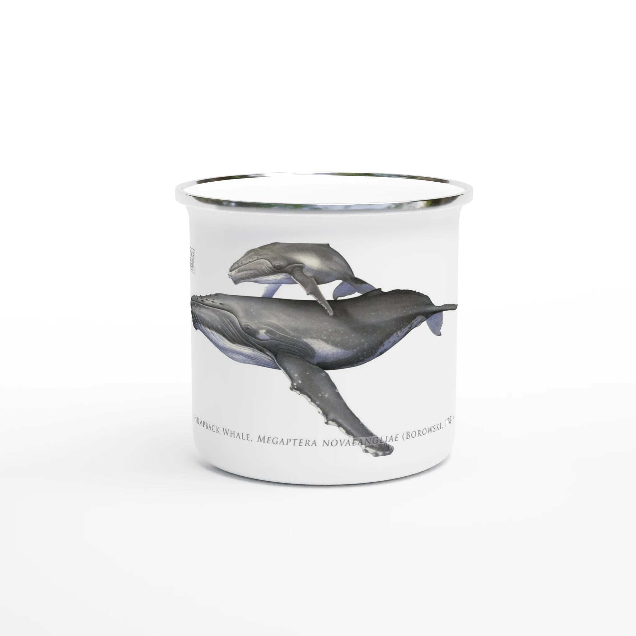 e7afad72-5afd-4dba-8934-ab5b0aae6759