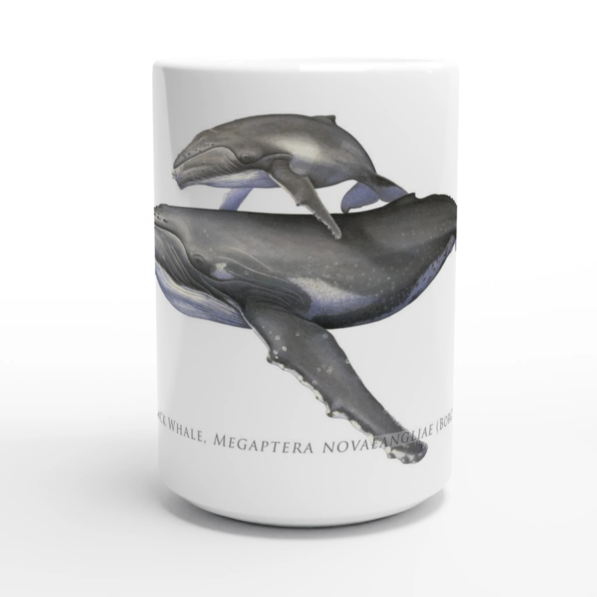 d815d8c5-72e9-45ab-bc27-654bbc7c3a24