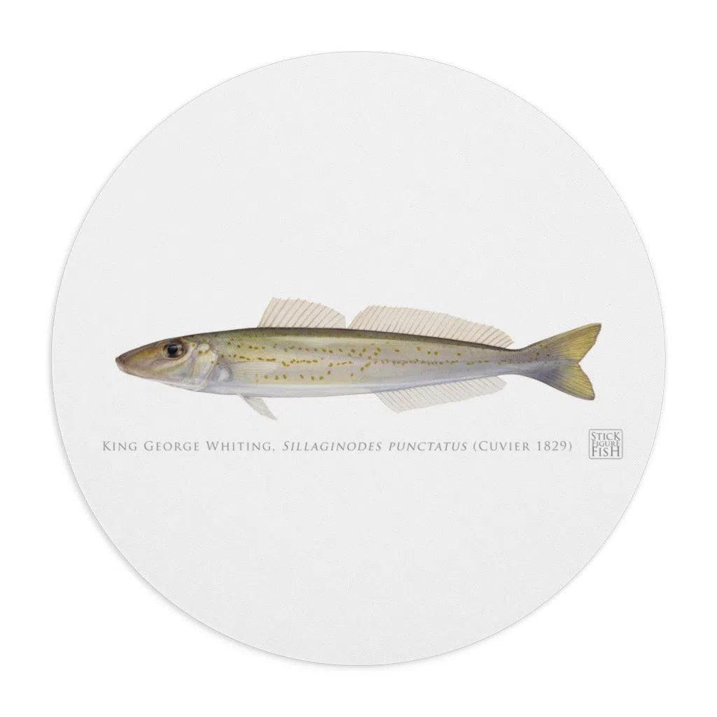 King George Whiting - Mouse Pad-Stick Figure Fish Illustration