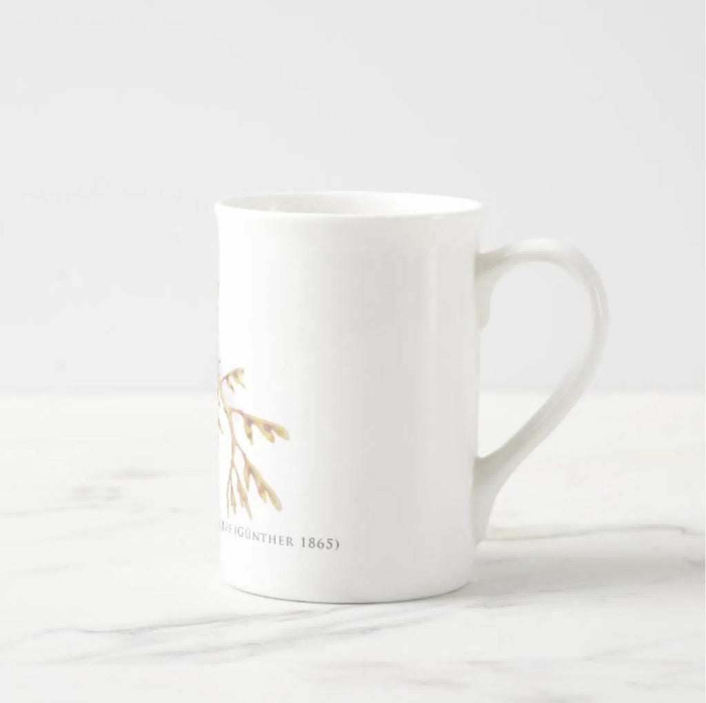 Leafy Seadragon - Fine Bone China Mug-Stick Figure Fish Illustration