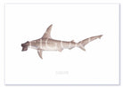 Winghead Shark A2 Print Mockup Shadow.jpg by Dr Lindsay Marshall