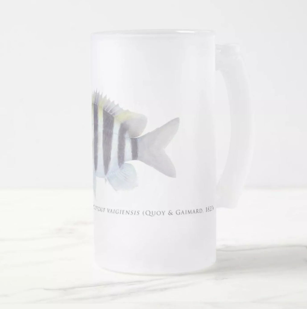Indo-Pacific Sergeant - Frosted Glass Stein-Stick Figure Fish Illustration