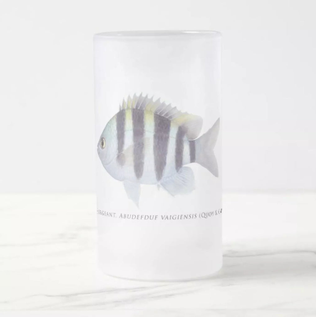 Indo-Pacific Sergeant - Frosted Glass Stein-Stick Figure Fish Illustration