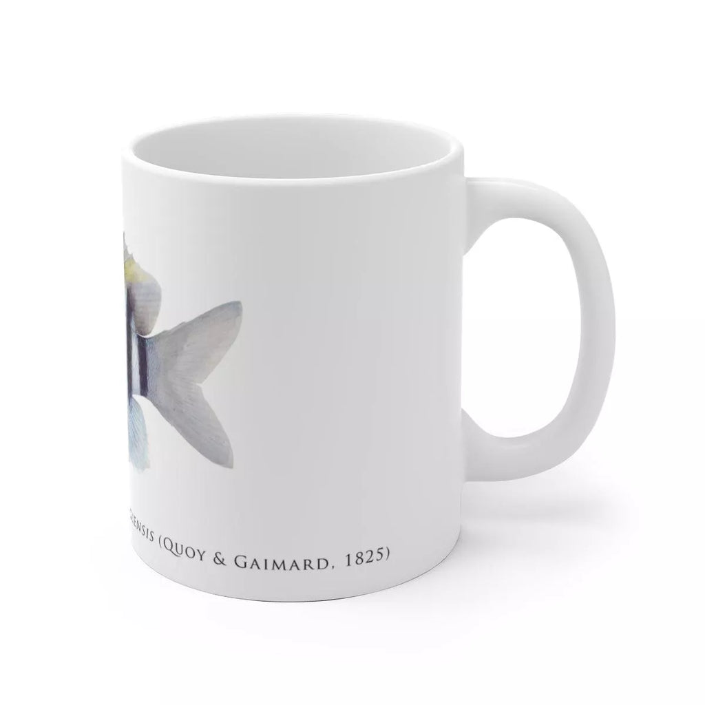 Indo-Pacific Sergeant Mug - Stick Figure Fish Illustration