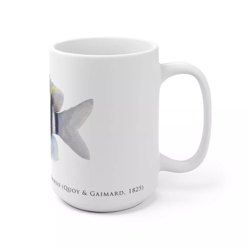 Indo-Pacific Sergeant Mug - Stick Figure Fish Illustration