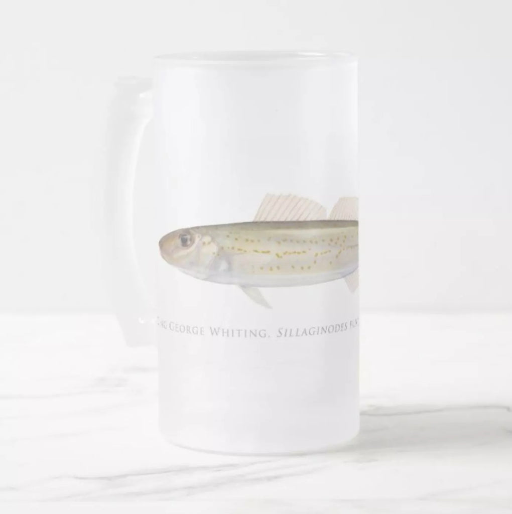 King George Whiting - Frosted Glass Stein-Stick Figure Fish Illustration