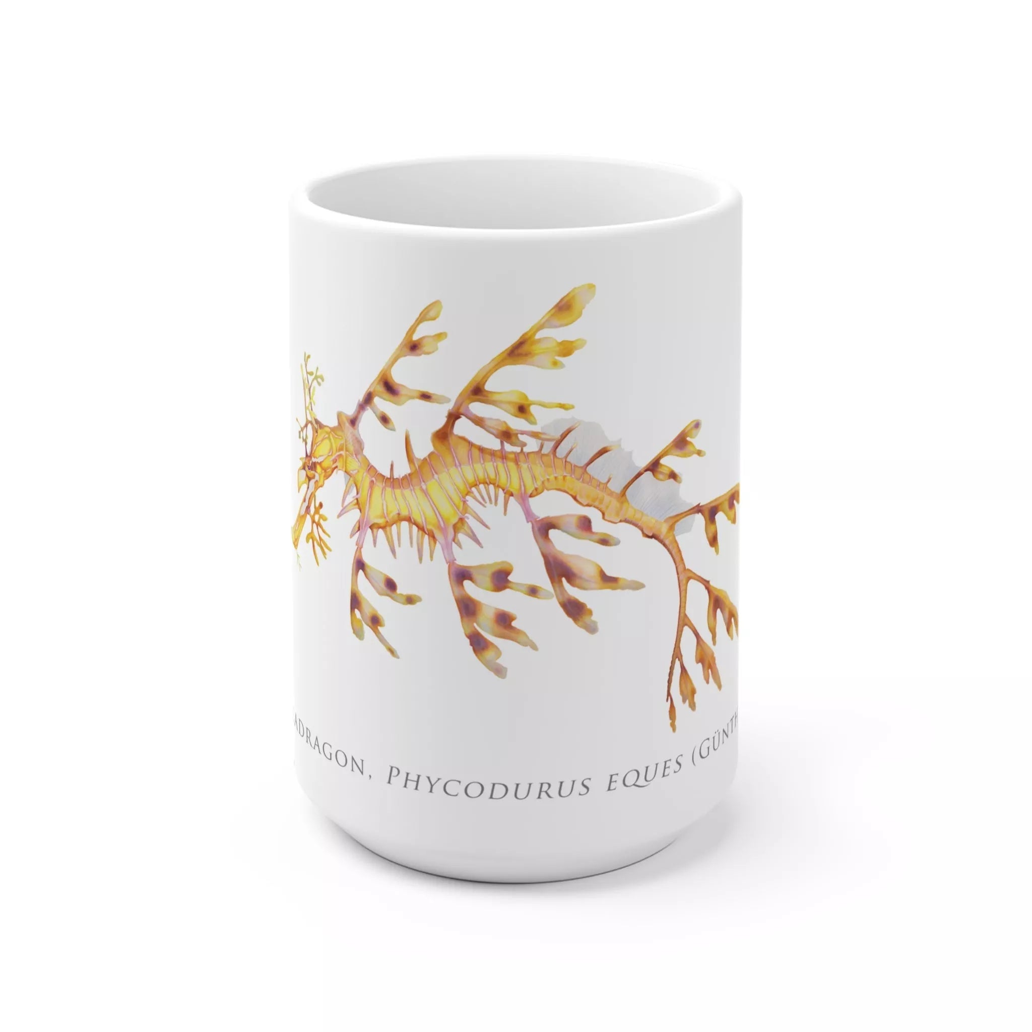 Leafy Seadragon, Phycodurus eques - Mug-Stick Figure Fish Illustration