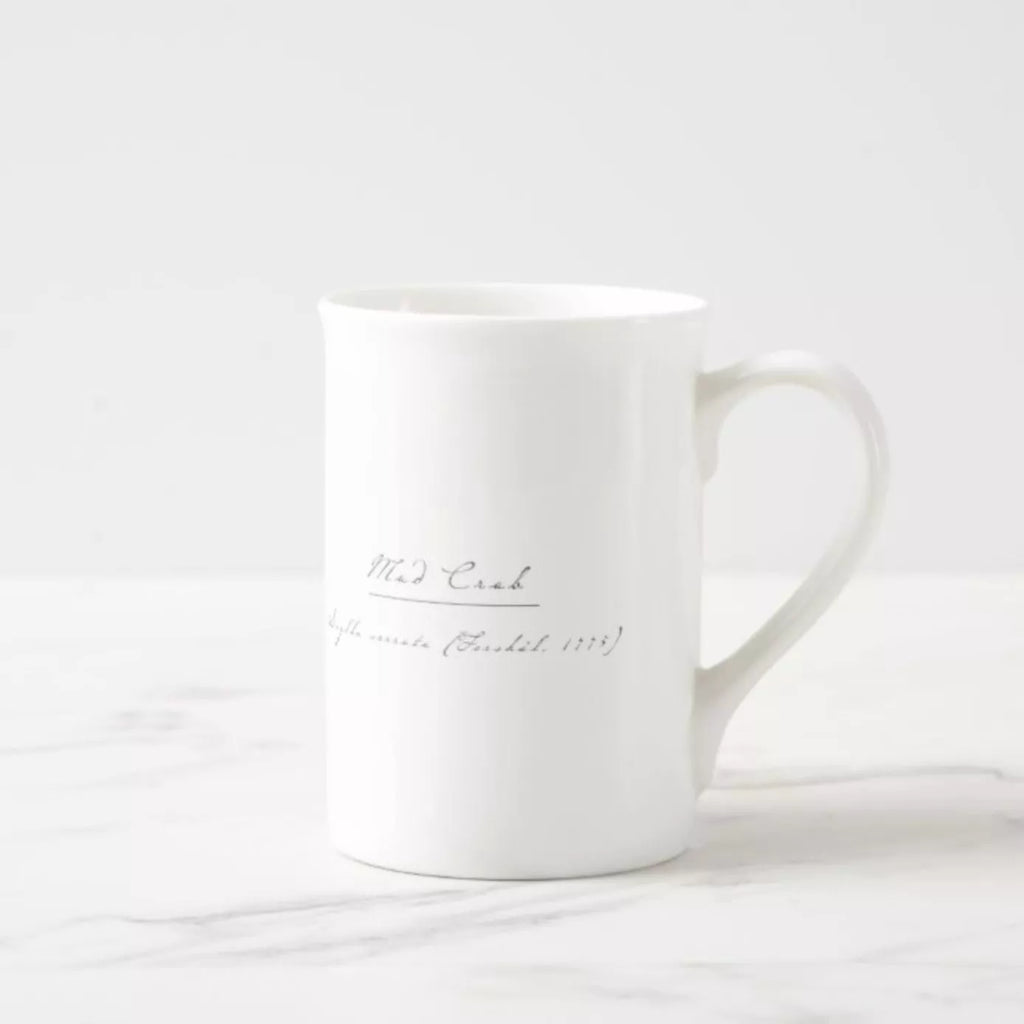 Mud Crab - Fine Bone China Mug-Stick Figure Fish Illustration