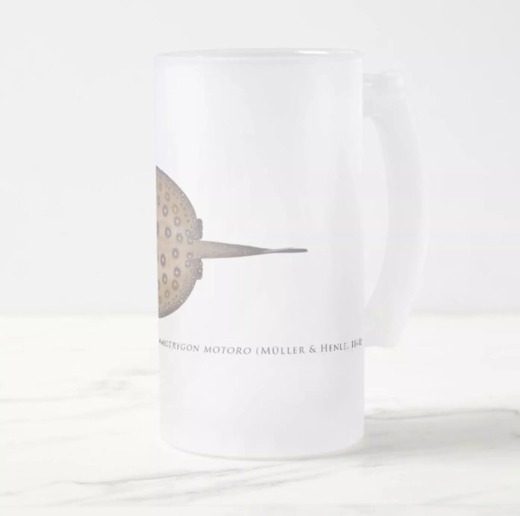 Ocellate River Stingray - Frosted Glass Stein-Stick Figure Fish Illustration