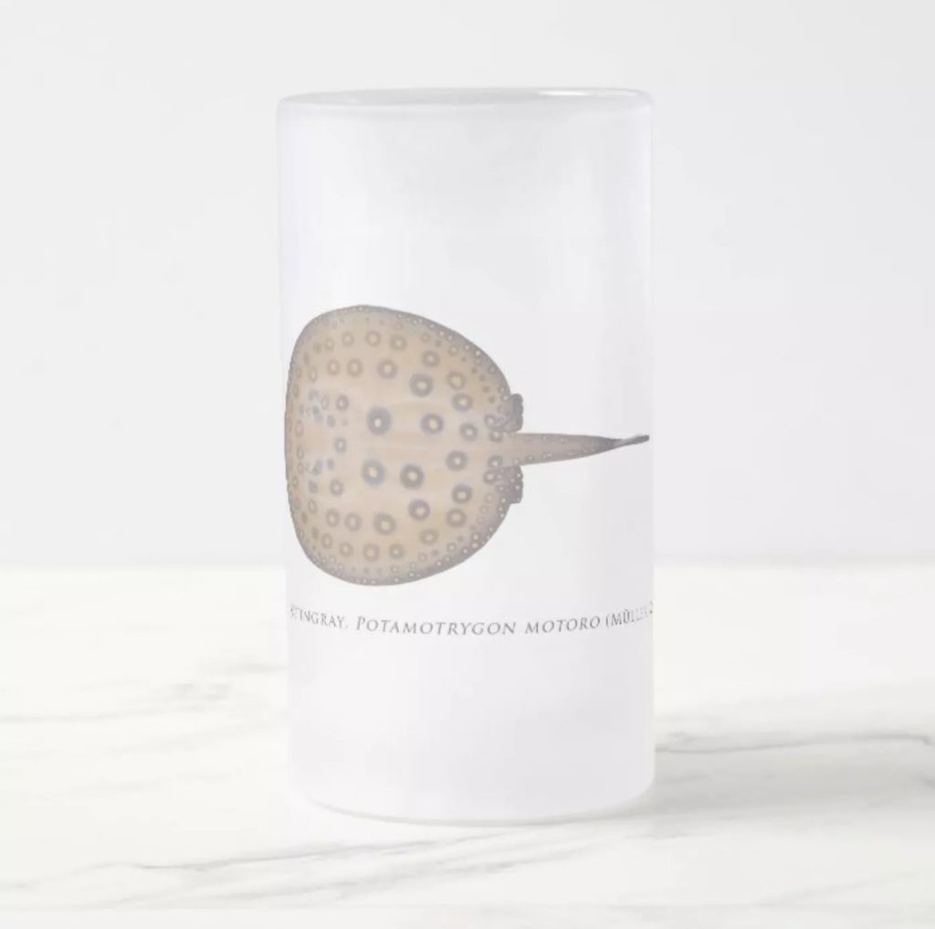 Ocellate River Stingray - Frosted Glass Stein-Stick Figure Fish Illustration