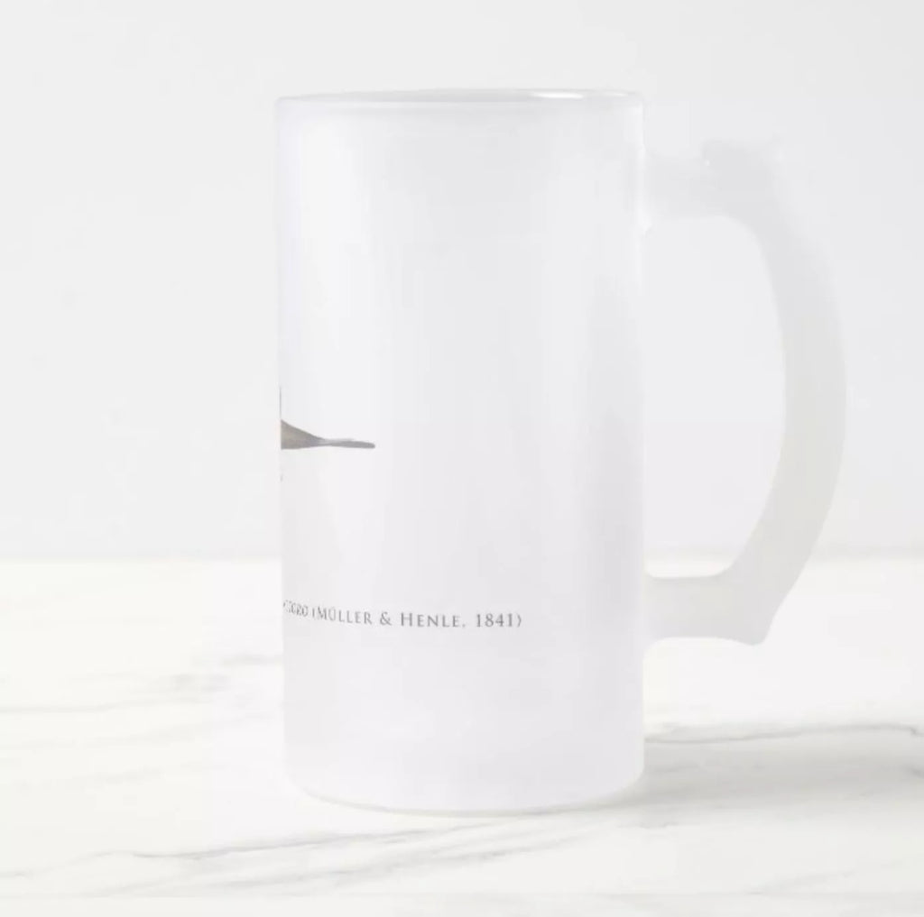 Ocellate River Stingray - Frosted Glass Stein - Stick Figure Fish Illustration