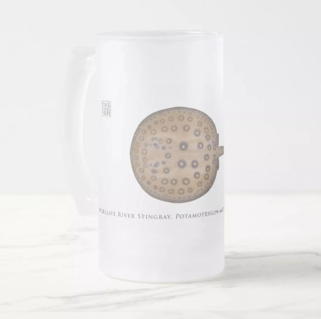 Ocellate River Stingray - Frosted Glass Stein - Stick Figure Fish Illustration