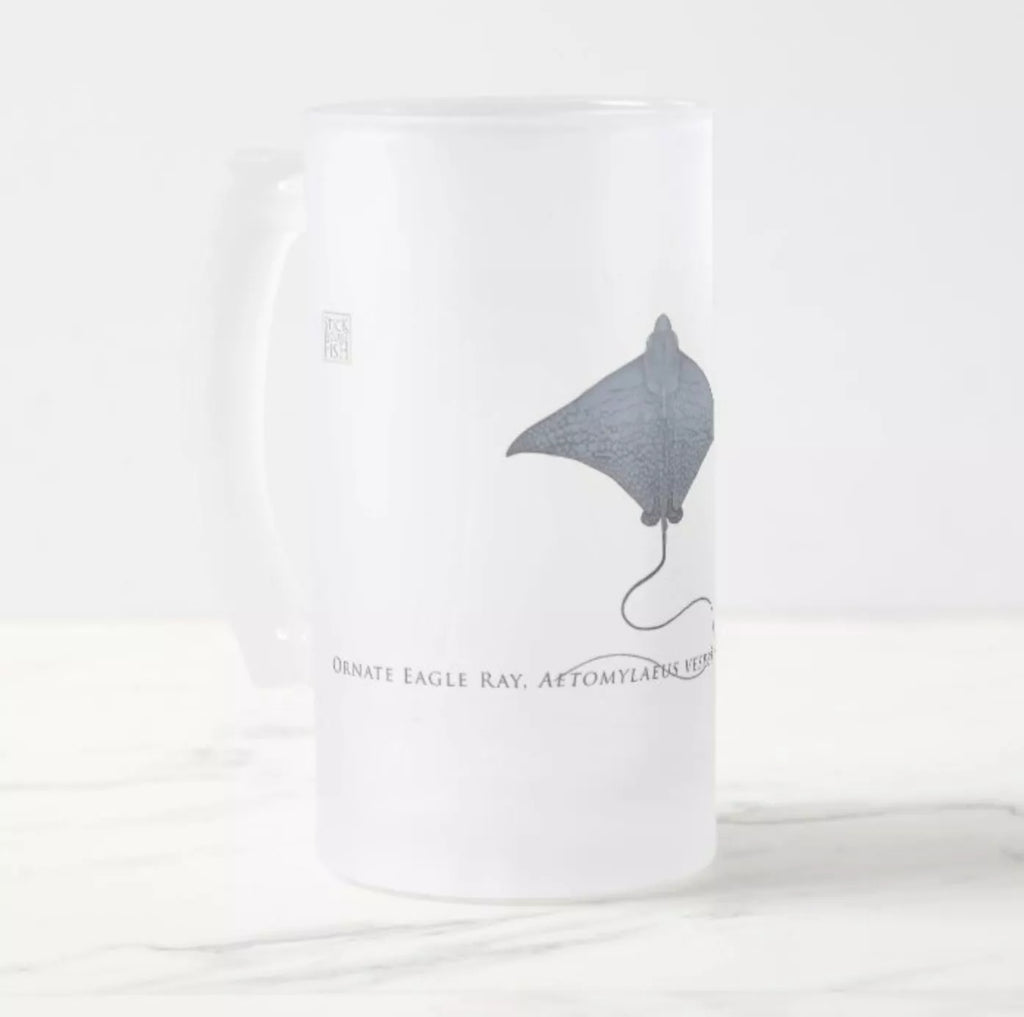 Ornate Eagle Ray - Frosted Glass Stein-Stick Figure Fish Illustration