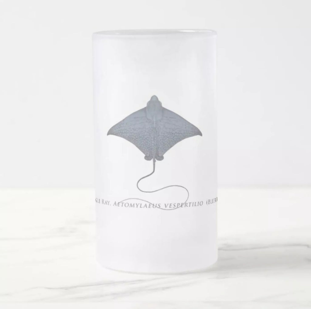 Ornate Eagle Ray - Frosted Glass Stein - Stick Figure Fish Illustration