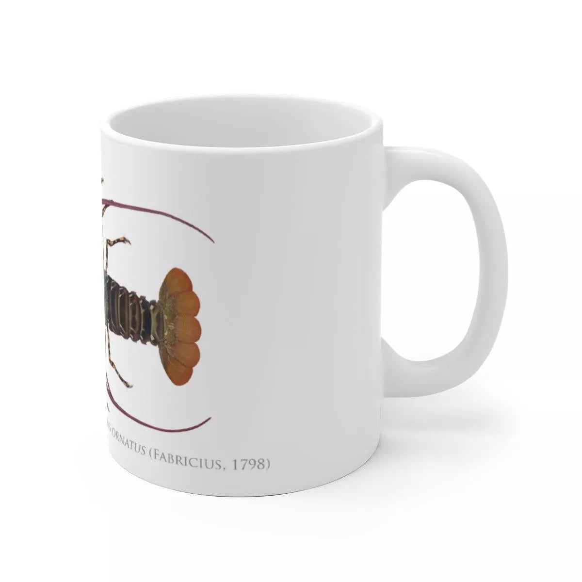 Ornate Spiny Lobster Mug - Version 2 (Detailed)-Stick Figure Fish Illustration