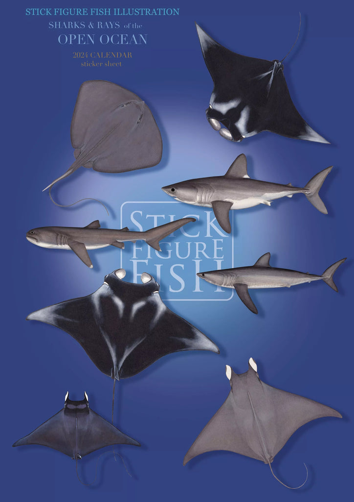 Sharks and Rays of the Open Ocean Sticker Sheet-Stick Figure Fish Illustration