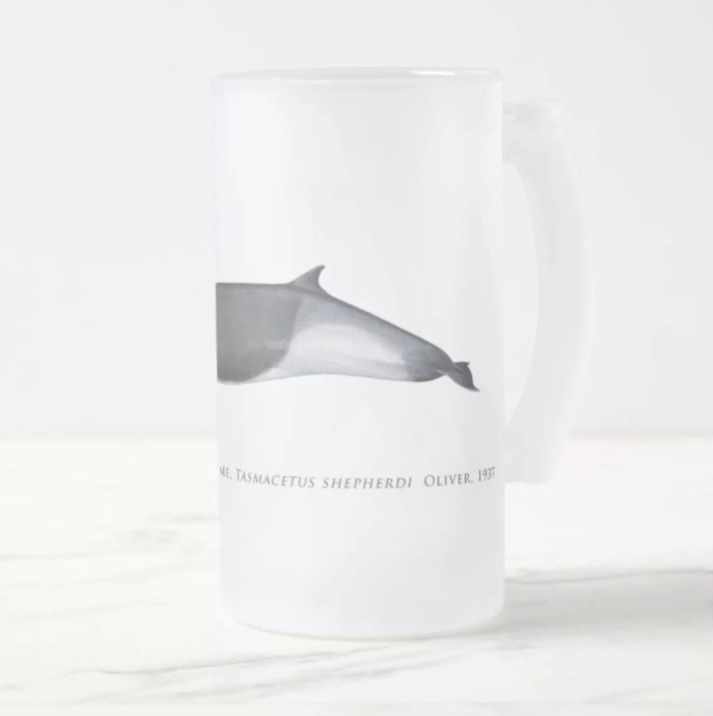 Shepherd's Beaked Whale - Frosted Glass Stein-Stick Figure Fish Illustration