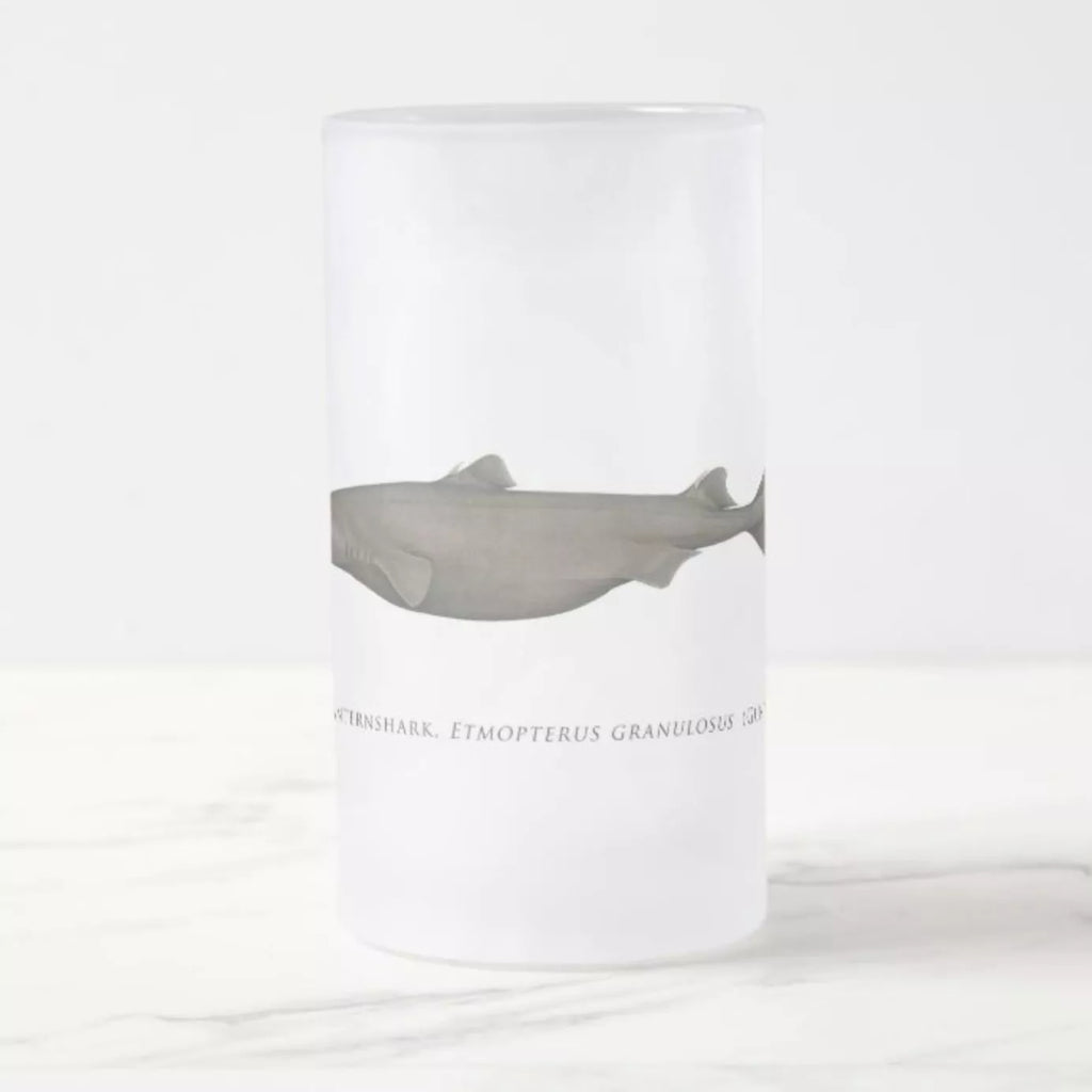 Southern Lanternshark - Frosted Glass Stein-Stick Figure Fish Illustration