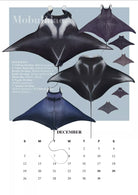 Stick Figure Fish 2021 Calendar - Rays of the world-Stick Figure Fish Illustration