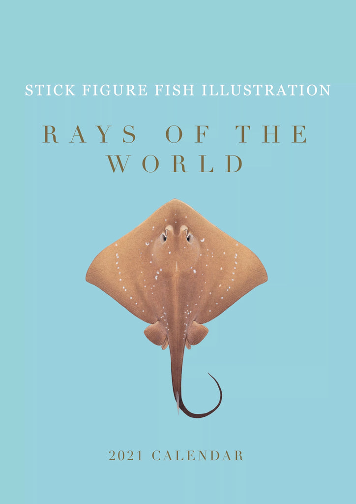 Stick Figure Fish 2021 Calendar - Rays of the world-Stick Figure Fish Illustration