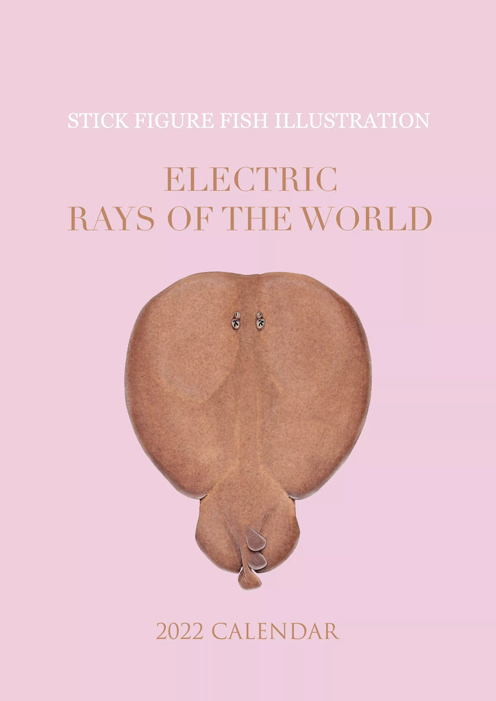 Stick Figure Fish 2022 Calendar - Electric Rays of the world-Stick Figure Fish Illustration