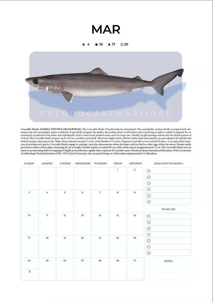 Stick Figure Fish 2024 Limited Edition Calendar Sharks & Rays of the