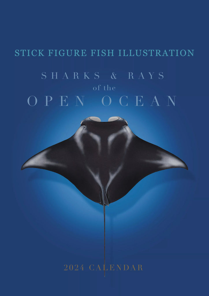 Stick Figure Fish 2024 Limited Edition Calendar - Sharks & Rays of the Open Ocean-Stick Figure Fish Illustration